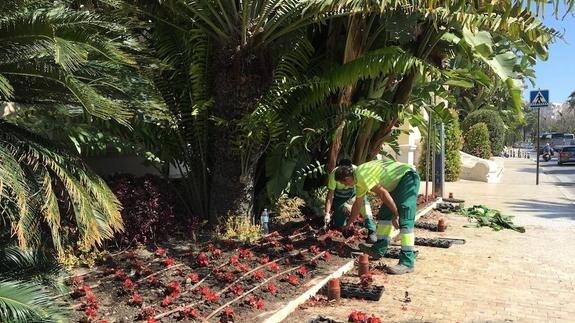 La imagen ayer en la entrada al Ayuntamiento era la plantación de begonias en los parterres cara la primavera mientras la ciudad sigue de ‘resaca’ por la huelga de basuras.