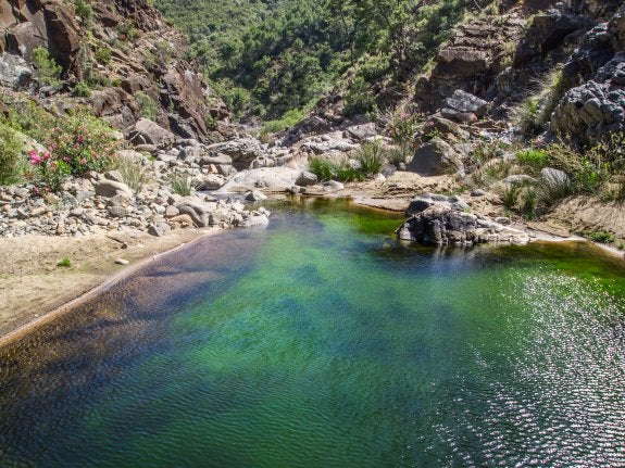 Uno de los muchos afloramientos de agua, con las tonalidades rojizas de la sierra que le dan su nombre. :: Diego Rodríguez Martínez