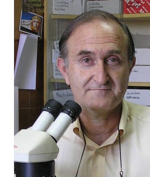 José Enrique García Raso