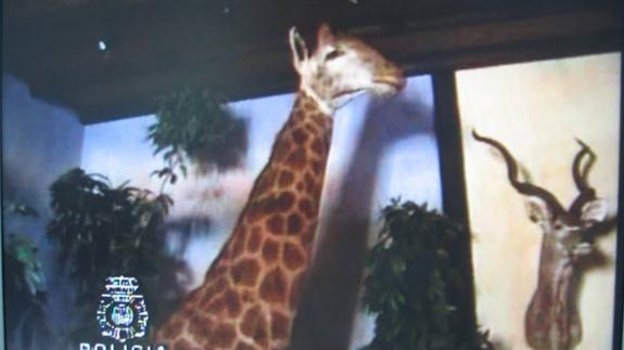 Imagen de archivo de los bienes de Roca. 