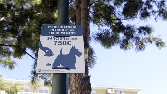 El bulevar Adolfo Suárez es la calle de Málaga que más denuncias registra por excrementos de perros