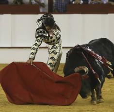 Derechazo de Fortes al segundo de su lote en la Corrida Picassiana del 17 de agosto.