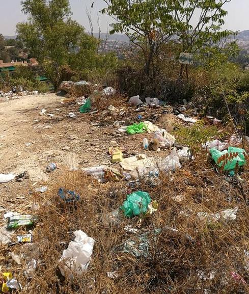 Bolsas de plástico, botellas y latas esparcidas