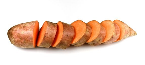 El cultivo de la batata en Andalucía sigue creciendo