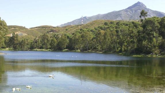 El Lago de las Tortugas, donde se centraba uno de los proyectos.