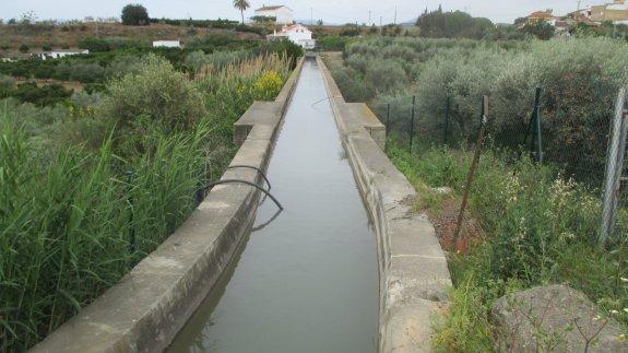 Medio Ambiente autoriza un riego extraordinario en la zona regable del Guadalhorce