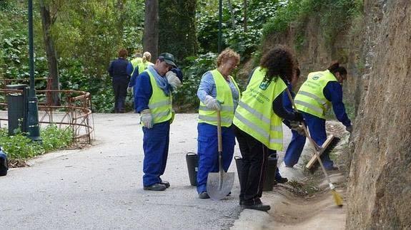 Los contratados trabajarán en cuadrillas repartidas por todos los distritos de la ciudad. 