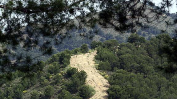 Vista parcial de los Montes de Málaga.