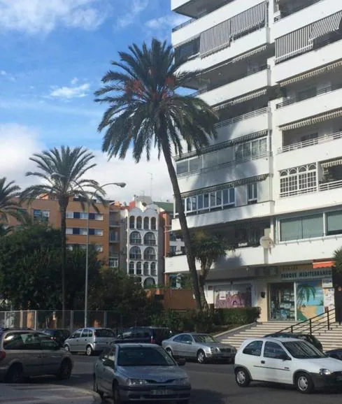 Vecinos alertaron ayer sobre el peligro de esta palmera.