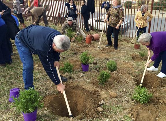 Usuarios del centro de adultos Ignacio de Toledo en la plantación de los árboles en Los Dólmenes. 
