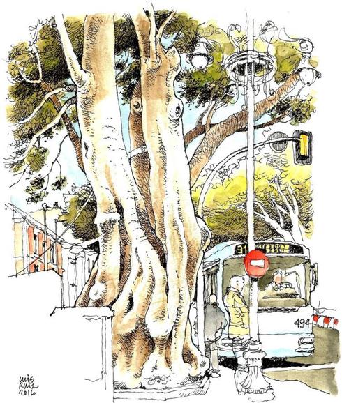 'Málaga a trazos': Días contados