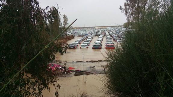 Málaga registra más de 120 incidencias a causa de la lluvia