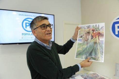 El edil del PP Javier García enseña la foto de una palmera dañada. :: j.-l.