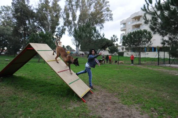 El mayor parque para perros de Andalucía ya está listo en Marbella - LOCAL