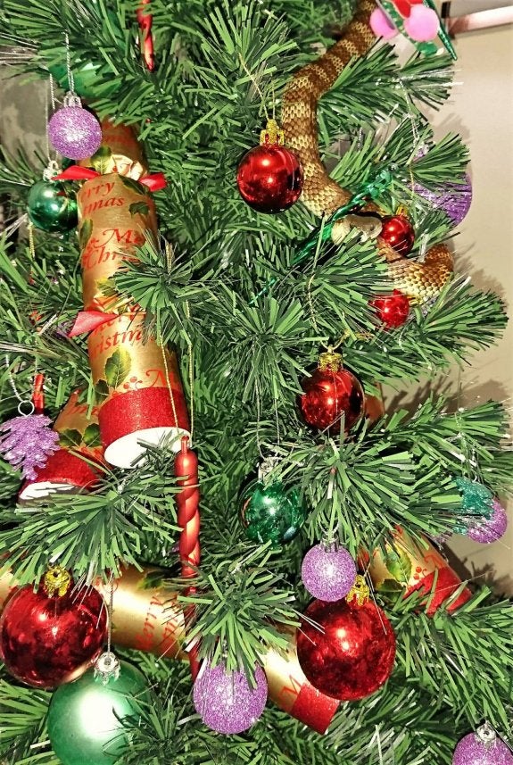 La serpiente tigre, enroscada en el árbol de Navidad. :: Snake Catcher Victoria Australia