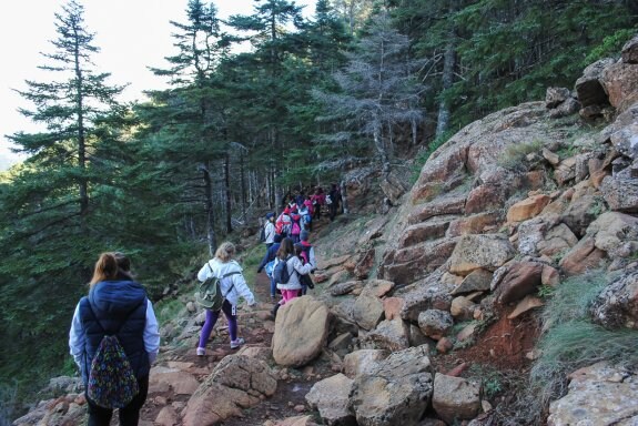 Escolares durante una de las rutas naturales del programa de senderismo. 