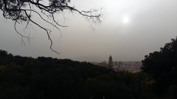 La Dana vuelve cargada de barro a Málaga