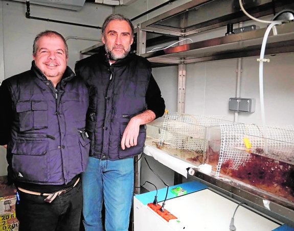 Tres investigadores viajarán al Ártico para estudiar el cambio climático en algas