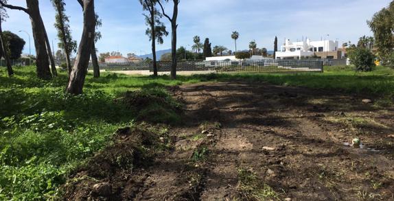 El Seprona investiga una denuncia por destrozos en el entorno protegido de la basílica en San Pedro