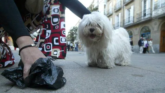 El Ayuntamiento de Málaga repartirá 20.000 bolsas para excrementos caninos en cada distrito de la capital