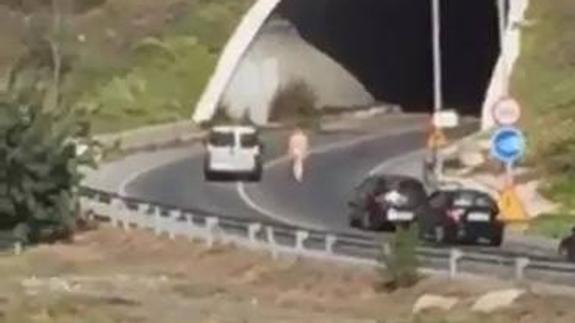 «Ahí va un tío en pelotas»: Agentes de la Policía Nacional pillan a un joven corriendo desnudo hacia la autovía