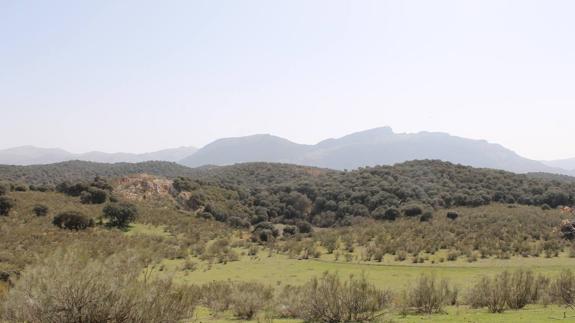 Vista de la parte sur de la comarca de la Sierra Norte de Málaga