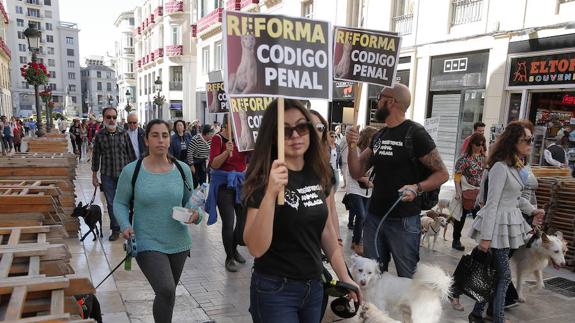 Los animalistas salen a la calle