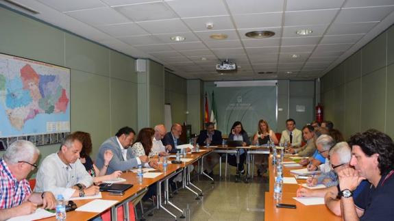 El SAS anuncia que sustituirá un 66% de profesionales más que el verano pasado en Málaga