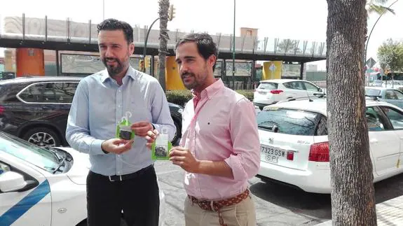 Málaga recurre a mariquitas para acabar con la suciedad de las jacarandas