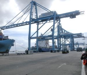 APM TERMINALS. Grúas en las instalaciones algecireñas. / G. T.