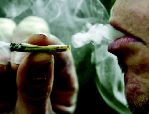 DROGAS. El cannabis es el que más se consume. / SUR