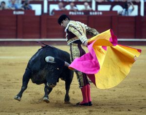 MIGUEL ÁNGEL PERERA. El quite que realizó el extremeño al primer toro de El Fandi fue de lo mejorcito de la corrida de ayer. / CARLOS MORET