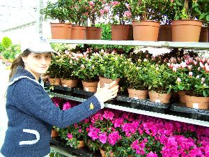 Estefanía Fernández, propietaria de Viveros Ámberes: «Los extranjeros aprenden jardinería por Internet»