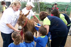 ACTIVIDAD. Varios alumnos de la guardería nerjeña Los Pequeñecos dan de comer a un burro.
