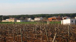 DISEMINADOS. Viviendas irregulares en Chiclana, donde el Ayuntamiento ha iniciado un proceso de legalización. / JESÚS M. ARAGÓN
