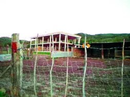 Ambas construcciones se sitúan sobre suelo rústico no urbanizable./ PLT
