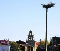 TRASLADO. La cigüeña prefiere anidar el el campanario ante que en lo alto de un mástil. EFE