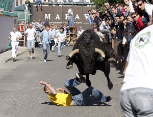 DÍA GRANDE. Los Barrios se volcó un año más con su fiesta del toro embolao. / ANDRÉS CARRASCO