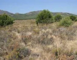Vista de Los Llanos de Matagallar. / J. J. B.
