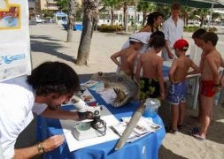 El mar en un microscopio