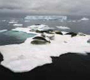 Cómo se forma un glaciar