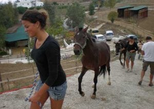 Una salida al galope