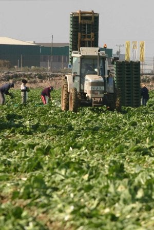 La instalación de un GPS en los tractores mejora el sistema de siembra en el campo