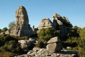 Imagen del enclave tomada por la Plataforma para la Conservación de la Sierra de la Utrera. ::
SUR