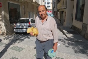 Hortalizas descomunales. José Retamero junto a los nabos que crió en 2008 y con la patata de un 1,06 kilos que ha recogido este mes. ::                             E.                             C.