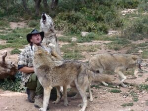 Antequera, tierra de lobos | Diario Sur