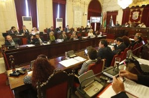 El consejo empezará a funcionar una vez que su reglamento se publique en el BOP. ::                             SALVADOR SALAS