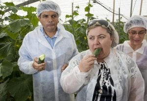 La 'crisis del pepino' causa pérdidas de 200 millones de euros semanales
