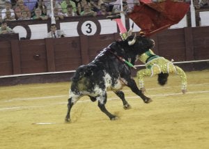 Instante en el que el quinto toro de la noche propina una tremenda voltereta e hiere al diestro madrileño César Jiménez. ::                             CARLOS MORET