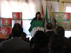 Pilar González, durante su comparecencia ante militantes, simpatizantes y medios de comunicación en la convención nacional del PA. ::
SUR